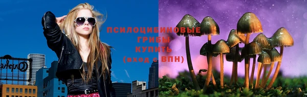 тгк Бородино