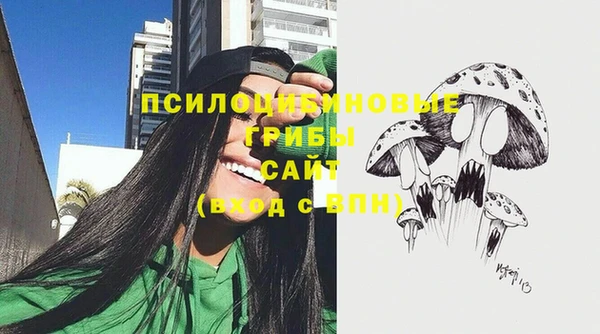 марки nbome Белокуриха