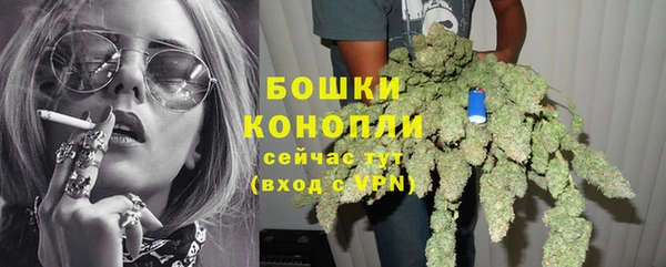твердый Богородицк