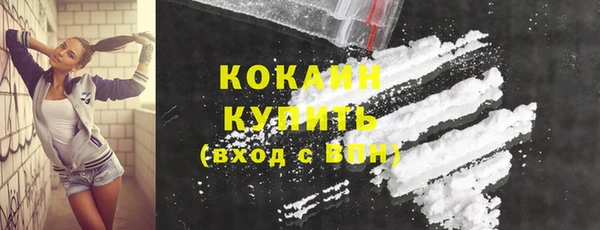 тгк Бородино