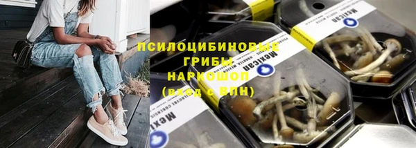 дживик Богородск