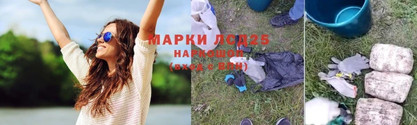 тгк Бородино