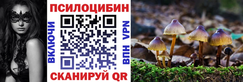 Псилоцибиновые грибы мицелий  hydra как войти  Белая Калитва  что такое наркотик 